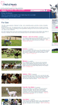 Mobile Screenshot of catalogue.alpacasunlimited.co.nz